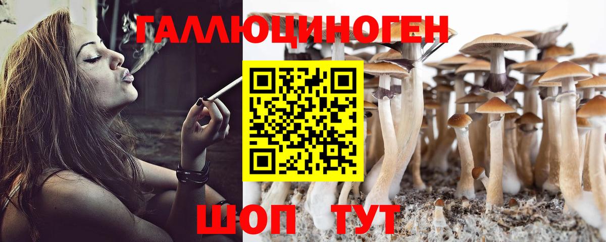 Псилоцибиновые грибы прущие грибы Донецк